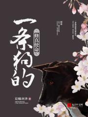 一条狗的使命原文