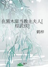 在黑木崖当教主夫人TXT