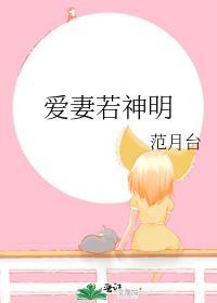 爱妻若神明笔趣阁免费