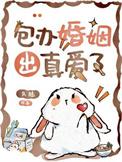 包办婚姻出真爱了by久陆TXT