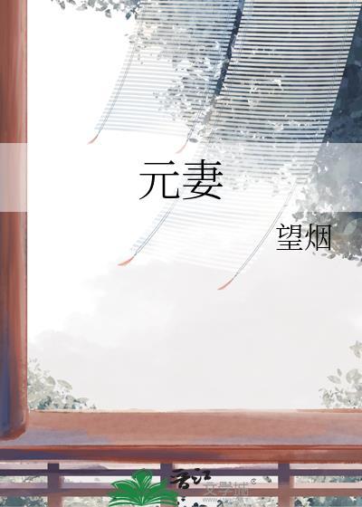 元妻笔趣阁
