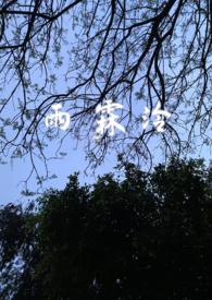 雨霖霖全集