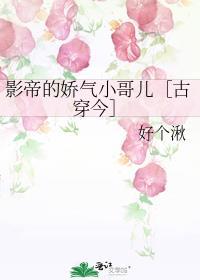 影帝的娇气小哥儿[古穿今