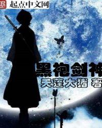 黑袍剑圣异界纵横全文
