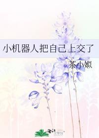 机器人小d
