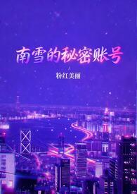 南雪集团怎么样