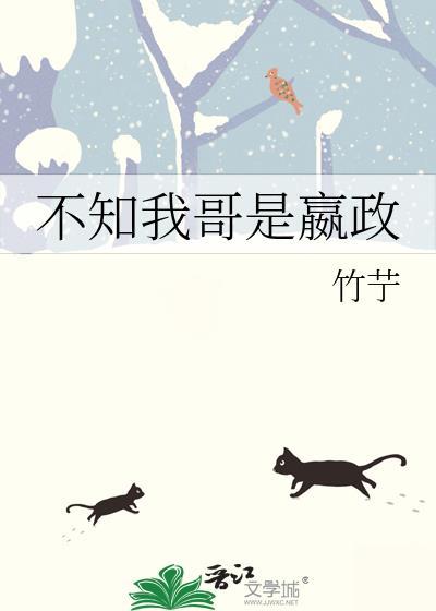 不知我哥是嬴政什么意思