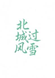 北城有雪免费