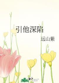 引他深陷免费阅读无弹窗