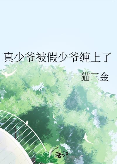 真少爷×假少爷