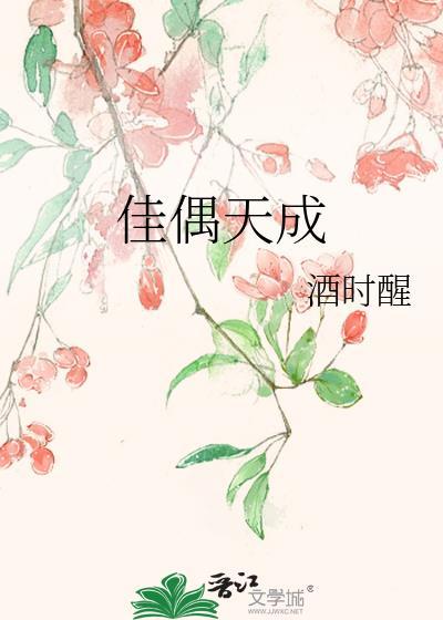 佳偶天成免费1-40集在线观看