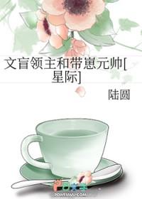 文盲领主和带崽元帅[星际