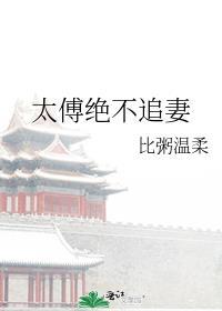 太傅绝不追妻晋江