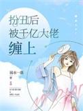 扮成丑女嫁入豪门