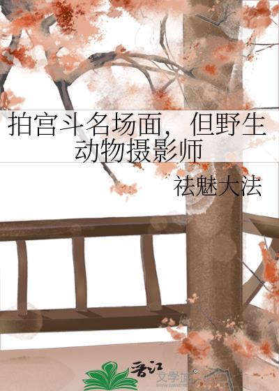 wpy野生动物摄影