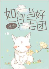 如何当好一只毛团辰冰txt