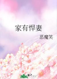家有悍妻小视频
