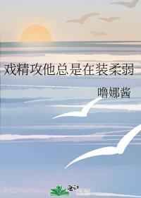 戏精攻他总是装柔弱笔趣阁