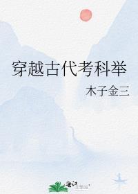 穿越古代考科举txt
