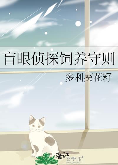 盲探怎么样
