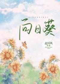 向日葵市盈率-376.56倍