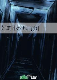 最佳搭档主演
