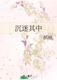 沉迷其中全文免费阅读白梨傅钊赴