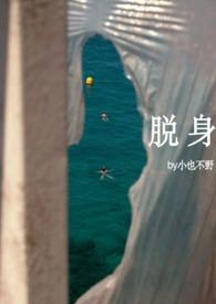 脱身电视剧共计多少集
