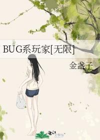 bug系统