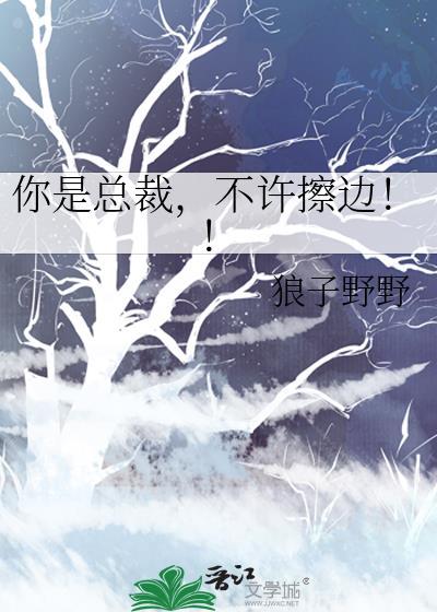 总裁你别碰我
