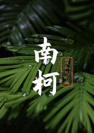 南柯 免费阅读