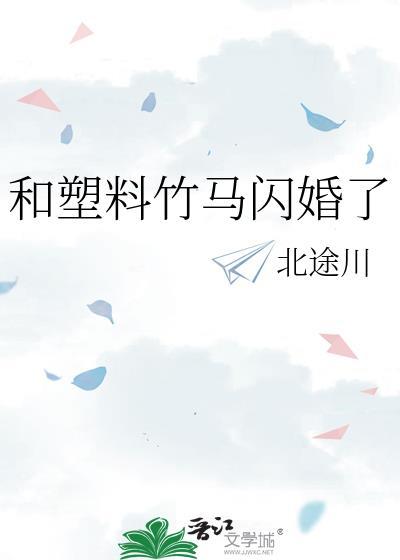 和塑料竹马闪婚了by北途川讲的什么