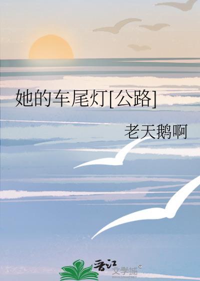 公路车尾勾是什么