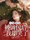 八零女儿被调包后我却笑了叶枫梁雪结局