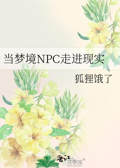 在梦境游戏中当NPC的日子