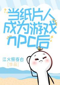 纸片人与npc的区别
