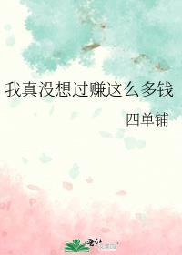 我真没想过赚这么多钱番外