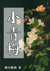 小青梅不经1v1结局无名小卒