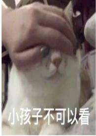 圈养 折枝 全文免费阅读