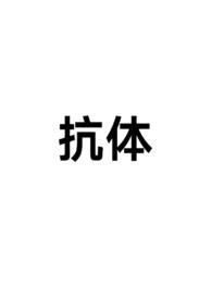 抗体阳性什么意思