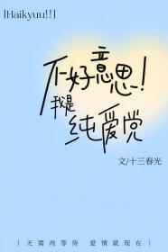 看不下去排球少年