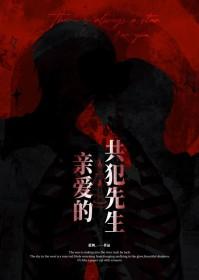 共犯先生讲什么