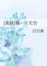 另一片天空下诺曼