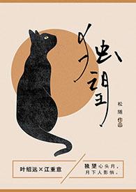 独望赏析