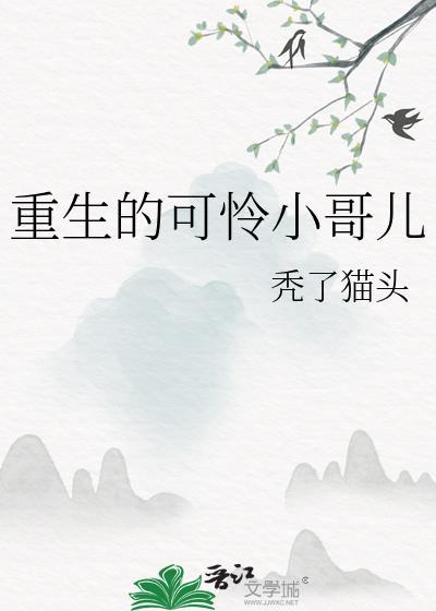 小可怜哥儿大结局