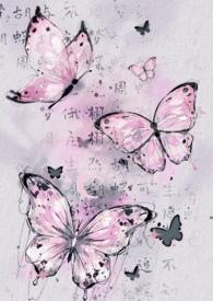 1v1) 章节