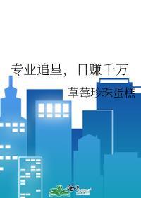 职业追星如何挣钱