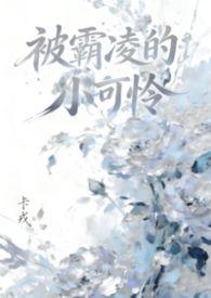 被霸凌的新娘在线安装