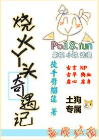 烧火丫鬟喜洋洋全集