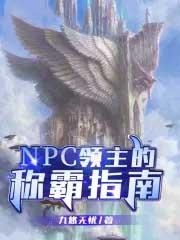 怎么让npc当领主